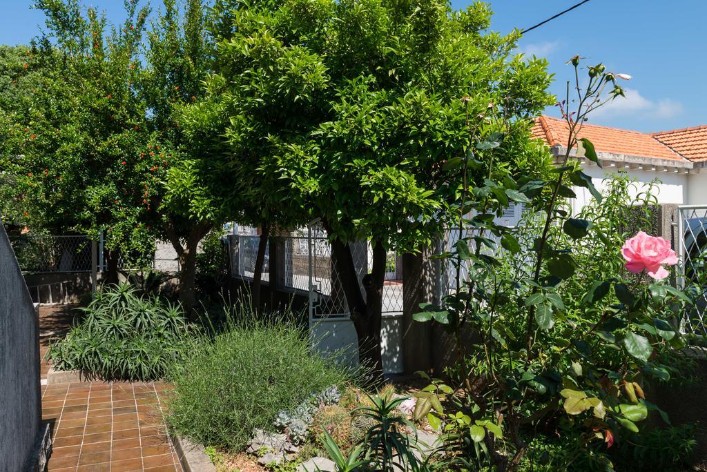 Apartment Veve Dubrovník Exteriér fotografie